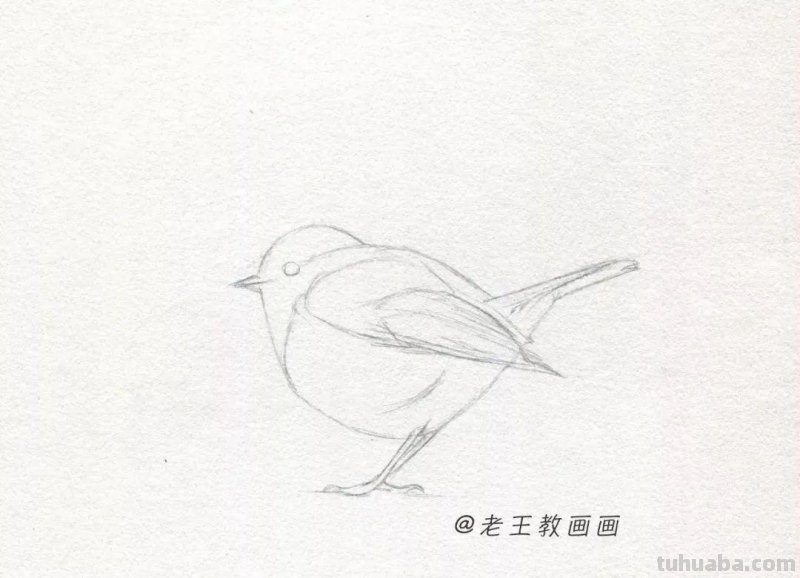 零基础也能画好素描，教你画一只鸟儿