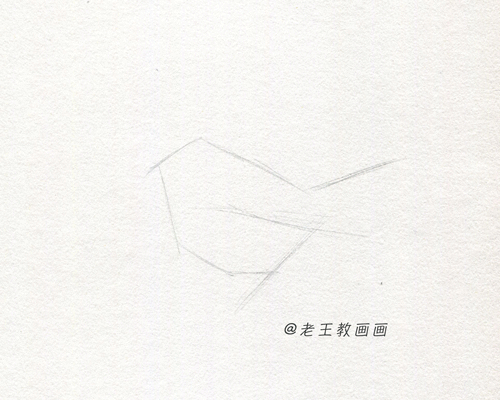 零基础也能画好素描，教你画一只鸟儿