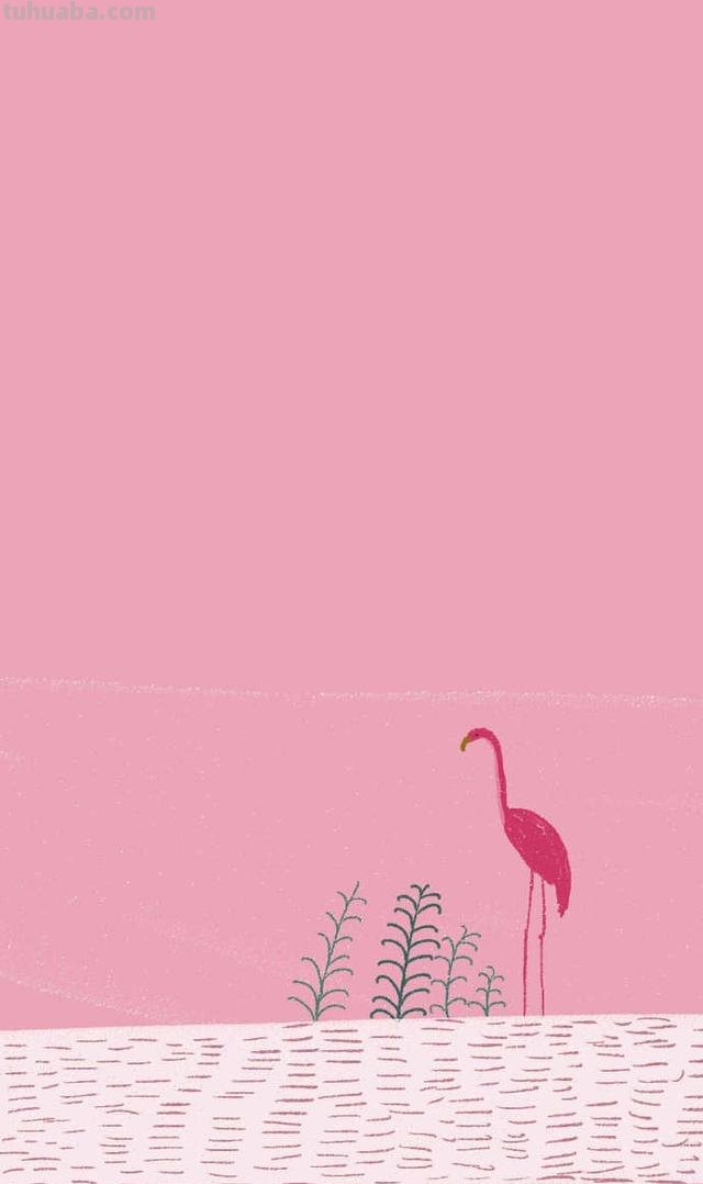 有什么少女心壁纸?