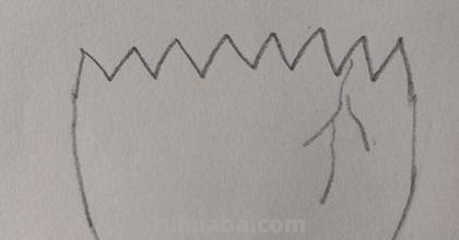 鸡蛋怎么画简笔画图片(鸡蛋怎么画简笔画图片涂色) 鸡蛋怎么画简笔画图片(鸡蛋怎么画简笔画图片涂色)