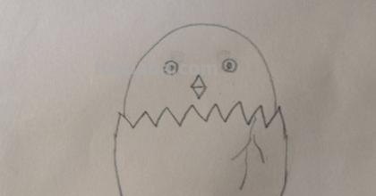 鸡蛋怎么画简笔画图片(鸡蛋怎么画简笔画图片涂色) 鸡蛋怎么画简笔画图片(鸡蛋怎么画简笔画图片涂色)