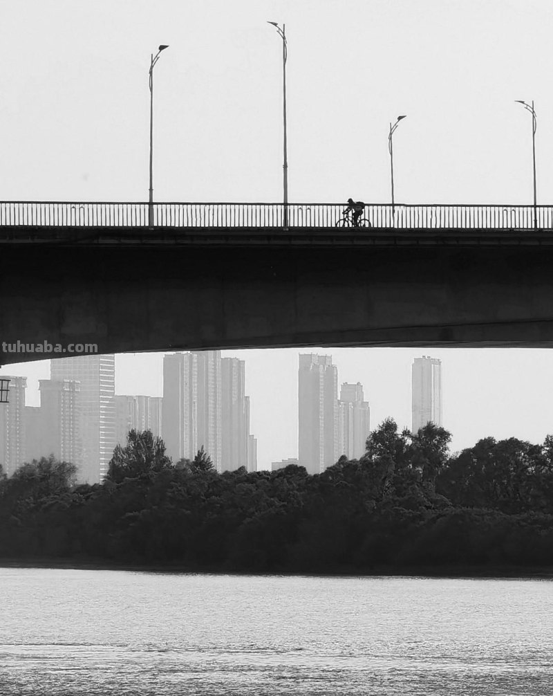 19张普通人拍出来的好照片：前三张构图真是绝，学起来