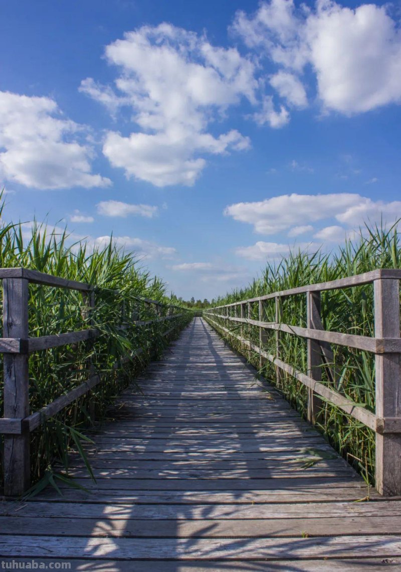 手机也能拍大片！6个必会的经典构图技巧