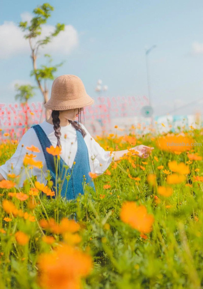 手机也能拍大片！6个必会的经典构图技巧