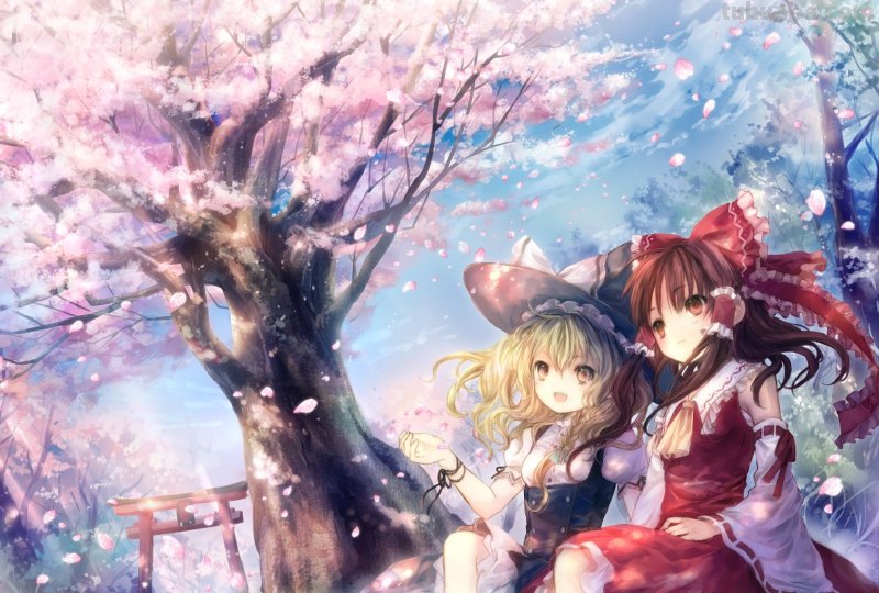 求好看的东方project壁纸,越多越好,有图包更好