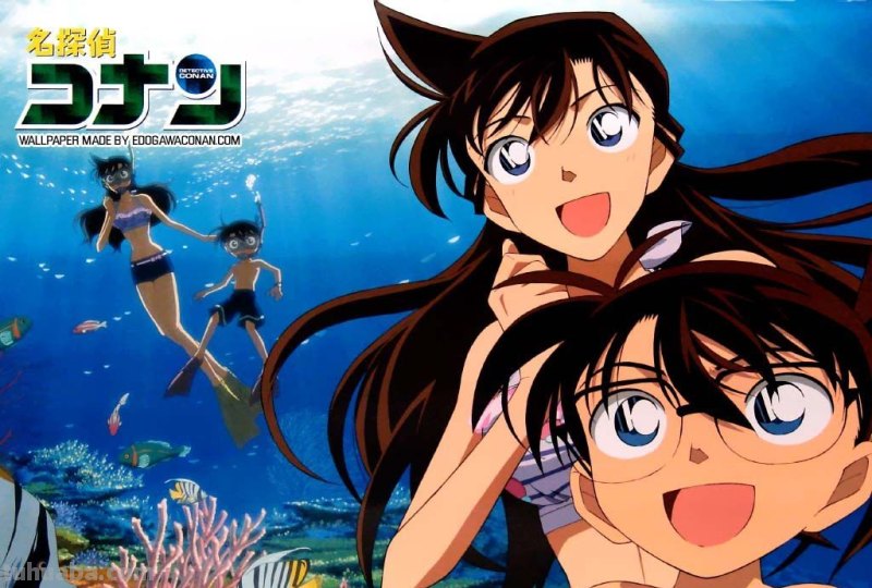 名侦探柯南 求小兰在海滩穿泳装的壁纸