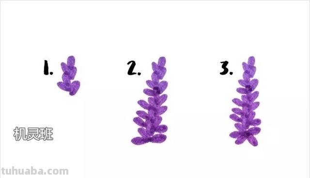 薰衣草怎么画简笔画（薰衣草怎么画简笔画图片大全）