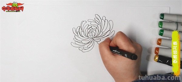 菊花怎么画简笔画图片（菊花怎么画简笔画图片大全大图）