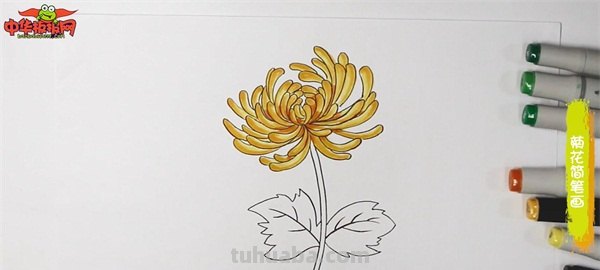 菊花怎么画简笔画图片（菊花怎么画简笔画图片大全大图）