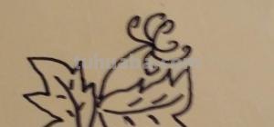 菊花怎么画简笔画图片（菊花怎么画简笔画图片大全大图）