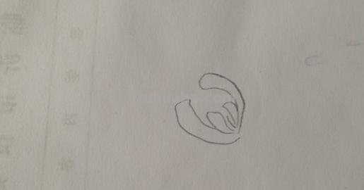 菊花怎么画简笔画图片（菊花怎么画简笔画图片大全大图）