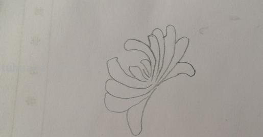 菊花怎么画简笔画图片（菊花怎么画简笔画图片大全大图）