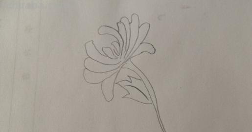 菊花怎么画简笔画图片（菊花怎么画简笔画图片大全大图）