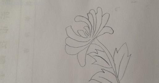 菊花怎么画简笔画图片（菊花怎么画简笔画图片大全大图）