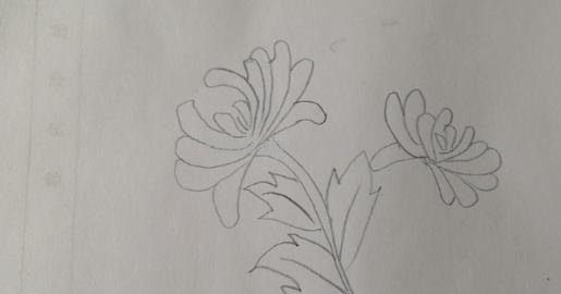 菊花怎么画简笔画图片（菊花怎么画简笔画图片大全大图）