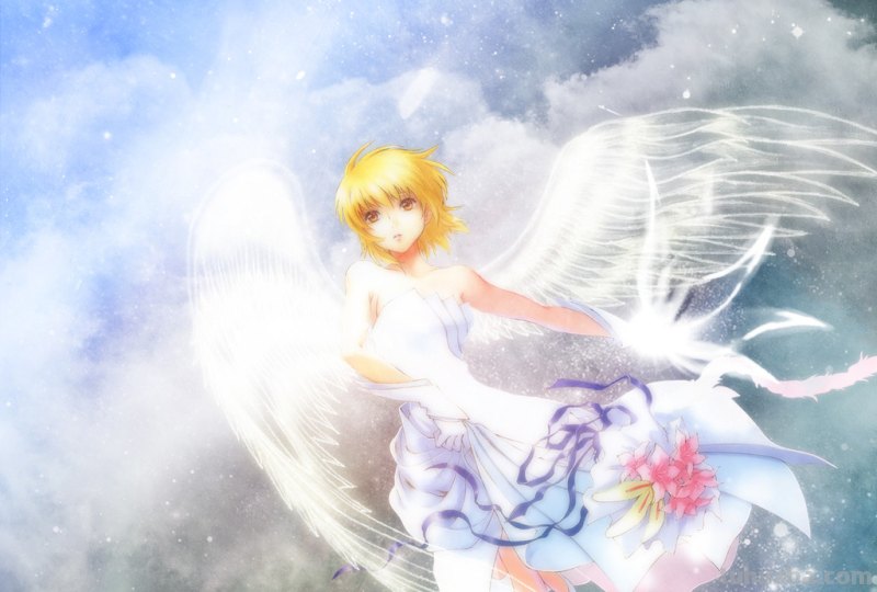 求唯美,有关恶魔或者天使的电脑桌面壁纸。要高清的,越多越好啊。一定...