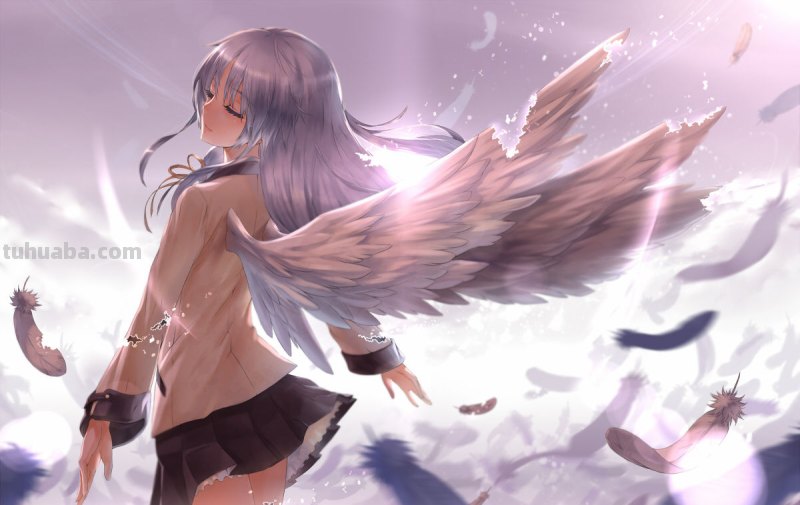 求唯美,有关恶魔或者天使的电脑桌面壁纸。要高清的,越多越好啊。一定...