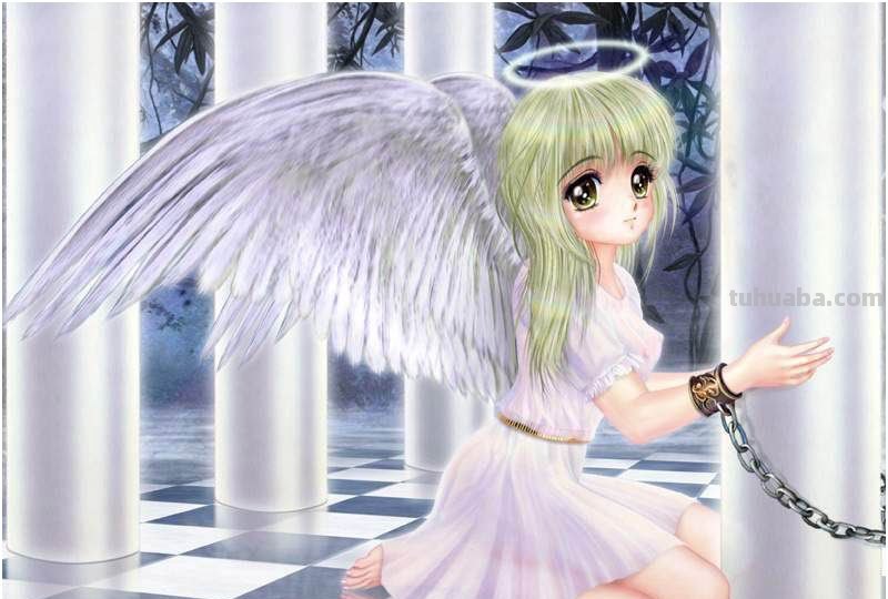 求唯美,有关恶魔或者天使的电脑桌面壁纸。要高清的,越多越好啊。一定...