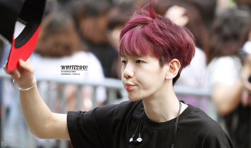 求打包边伯贤紫色头发的照片