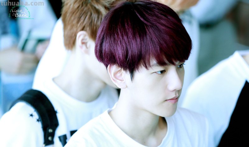 求打包边伯贤紫色头发的照片