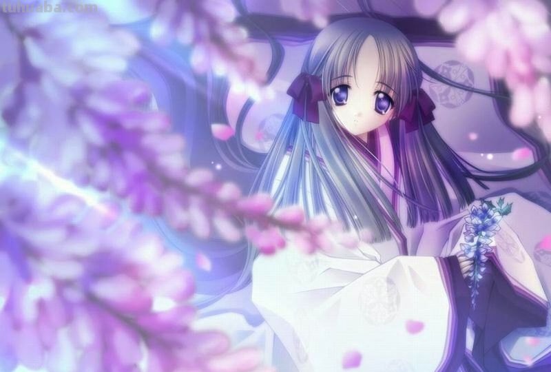 求动漫紫发少女的图片!!!