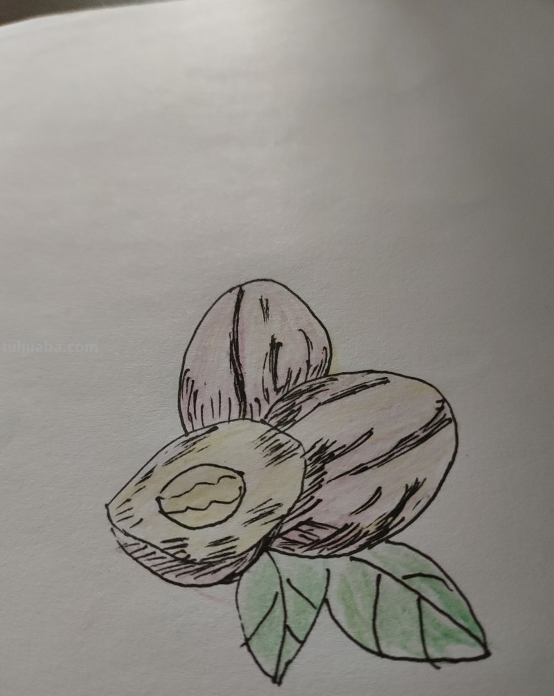 花生怎么画简笔画图(花生怎么画简笔画图 儿童画) 花生怎么画简笔画图(花生怎么画简笔画图 儿童画)