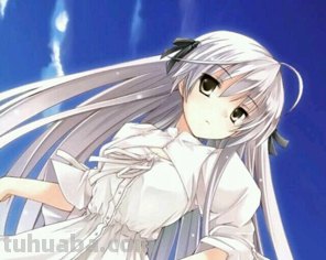 二次元少女高清美图要求像素1400,1100以上,最少200张越多愈好