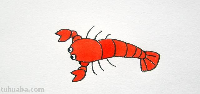 龙虾怎么画简笔画图片(龙虾怎么画简笔画图片 一步一步) 龙虾怎么画简笔画图片(龙虾怎么画简笔画图片 一步一步)
