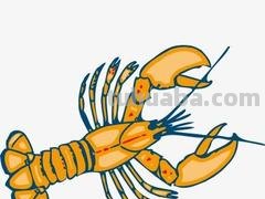 龙虾怎么画简笔画图片(龙虾怎么画简笔画图片 一步一步) 龙虾怎么画简笔画图片(龙虾怎么画简笔画图片 一步一步)