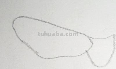 鸽子怎么画简笔画图片（和平鸽子怎么画简笔画图片）