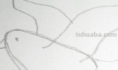 鸽子怎么画简笔画图片（和平鸽子怎么画简笔画图片）