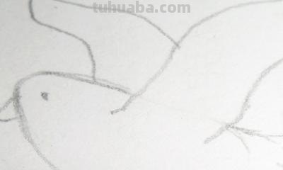 鸽子怎么画简笔画图片（和平鸽子怎么画简笔画图片）