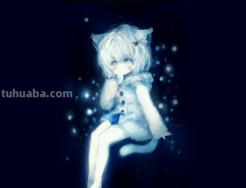 求超级可爱的猫耳娘壁纸,要萌到心都化了的那种