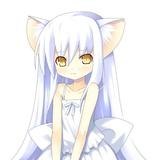 求几张猫耳娘闪闪的壁纸