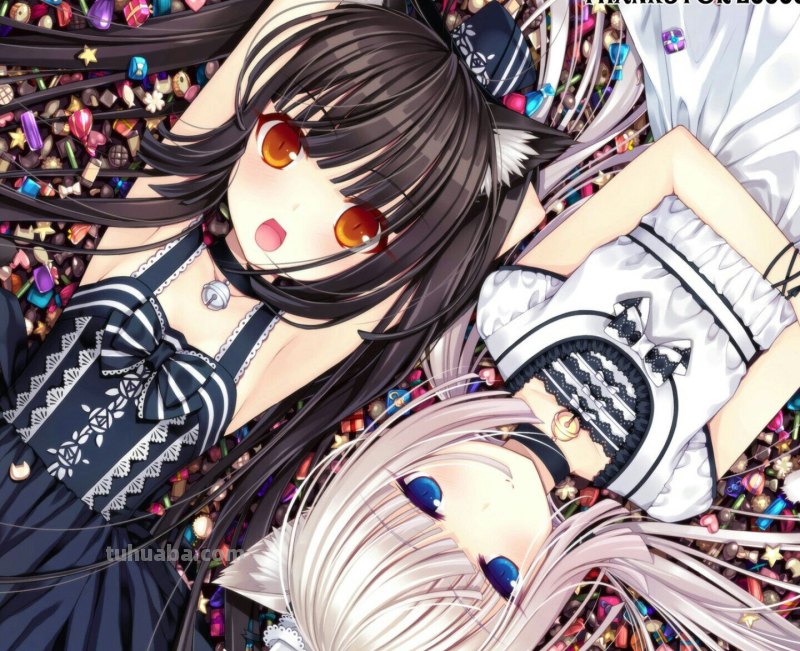 求几张猫耳娘闪闪的壁纸