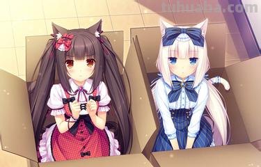 求几张猫耳娘闪闪的壁纸