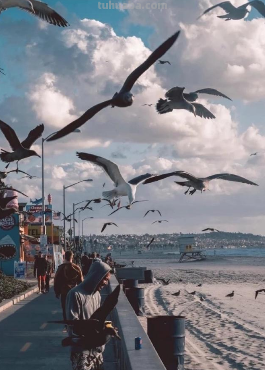 有什么好看的二次元手机壁纸可以推荐吗?