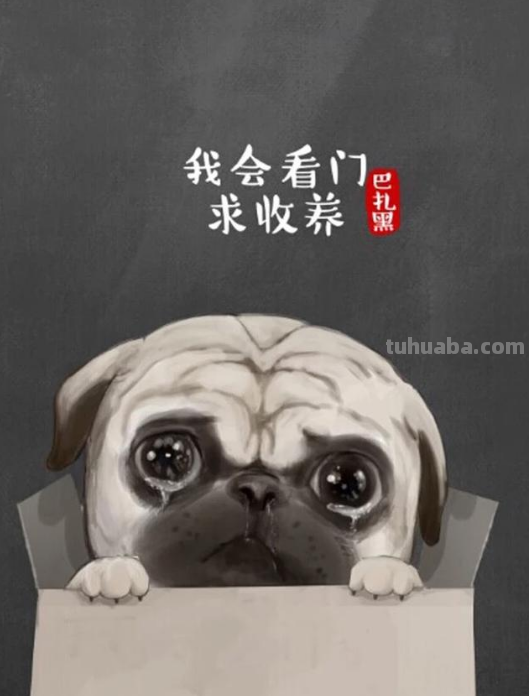 有什么好看的二次元手机壁纸可以推荐吗?