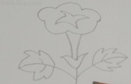 喇叭花怎么画简笔画(喇叭花怎么画简笔画又漂亮) 喇叭花怎么画简笔画(喇叭花怎么画简笔画又漂亮)