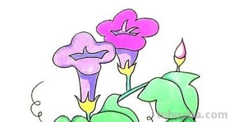 喇叭花怎么画简笔画(喇叭花怎么画简笔画又漂亮) 喇叭花怎么画简笔画(喇叭花怎么画简笔画又漂亮)