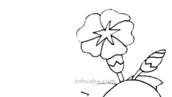 喇叭花怎么画简笔画(喇叭花怎么画简笔画又漂亮) 喇叭花怎么画简笔画(喇叭花怎么画简笔画又漂亮)