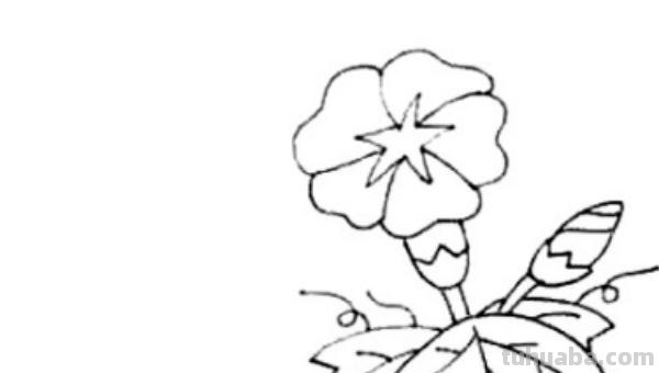 喇叭花怎么画简笔画(喇叭花怎么画简笔画又漂亮) 喇叭花怎么画简笔画(喇叭花怎么画简笔画又漂亮)