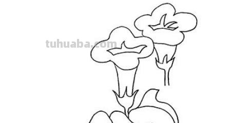 怎么画喇叭花简笔画(怎么画喇叭花简笔画教程) 怎么画喇叭花简笔画(怎么画喇叭花简笔画教程)