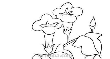 怎么画喇叭花简笔画(怎么画喇叭花简笔画教程) 怎么画喇叭花简笔画(怎么画喇叭花简笔画教程)
