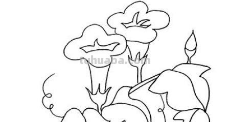 怎么画喇叭花简笔画(怎么画喇叭花简笔画教程) 怎么画喇叭花简笔画(怎么画喇叭花简笔画教程)