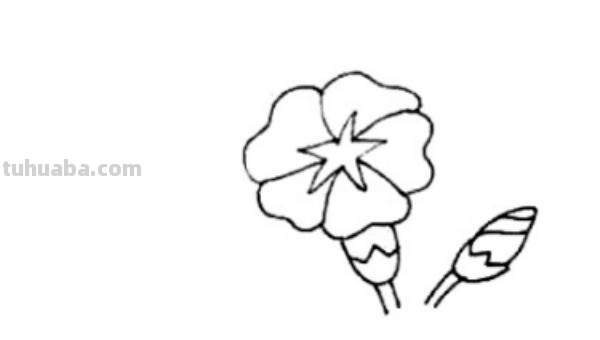 怎么画喇叭花简笔画(怎么画喇叭花简笔画教程) 怎么画喇叭花简笔画(怎么画喇叭花简笔画教程)