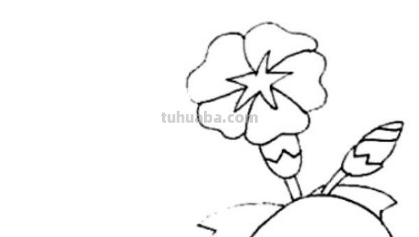 怎么画喇叭花简笔画(怎么画喇叭花简笔画教程) 怎么画喇叭花简笔画(怎么画喇叭花简笔画教程)