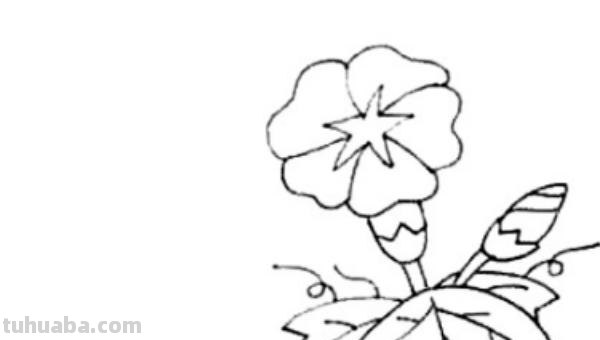 怎么画喇叭花简笔画(怎么画喇叭花简笔画教程) 怎么画喇叭花简笔画(怎么画喇叭花简笔画教程)