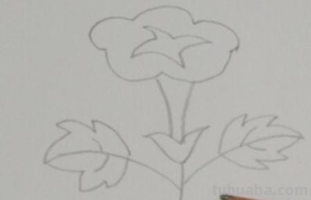 怎么画喇叭花简笔画(怎么画喇叭花简笔画教程) 怎么画喇叭花简笔画(怎么画喇叭花简笔画教程)