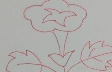 怎么画喇叭花简笔画(怎么画喇叭花简笔画教程) 怎么画喇叭花简笔画(怎么画喇叭花简笔画教程)